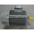 Reliable Quality Yl Series Heavy Duty Single-Phase Motor for Flood